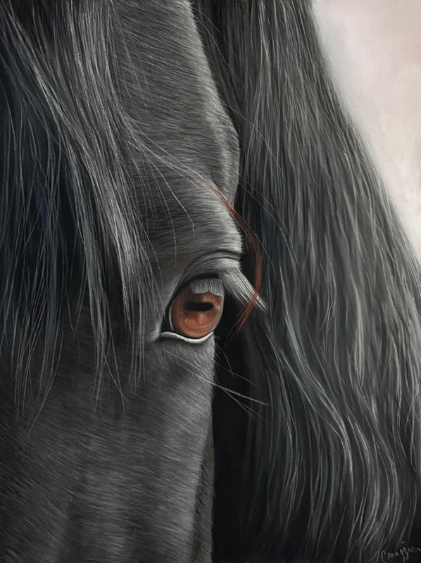 Réaliser un cheval noir au pastel sec / cours en ligne