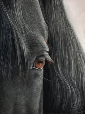 Réaliser un cheval noir au pastel sec / cours en ligne