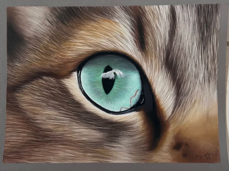 Réaliser un oeil de chat au pastel sec