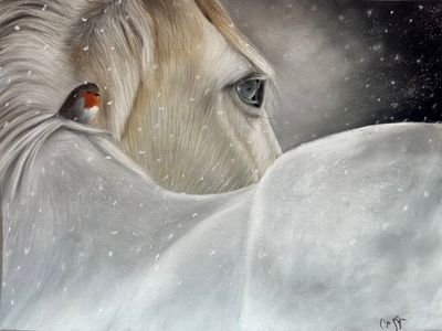 Réaliser un cheval et son rouge gorge au pastel sec