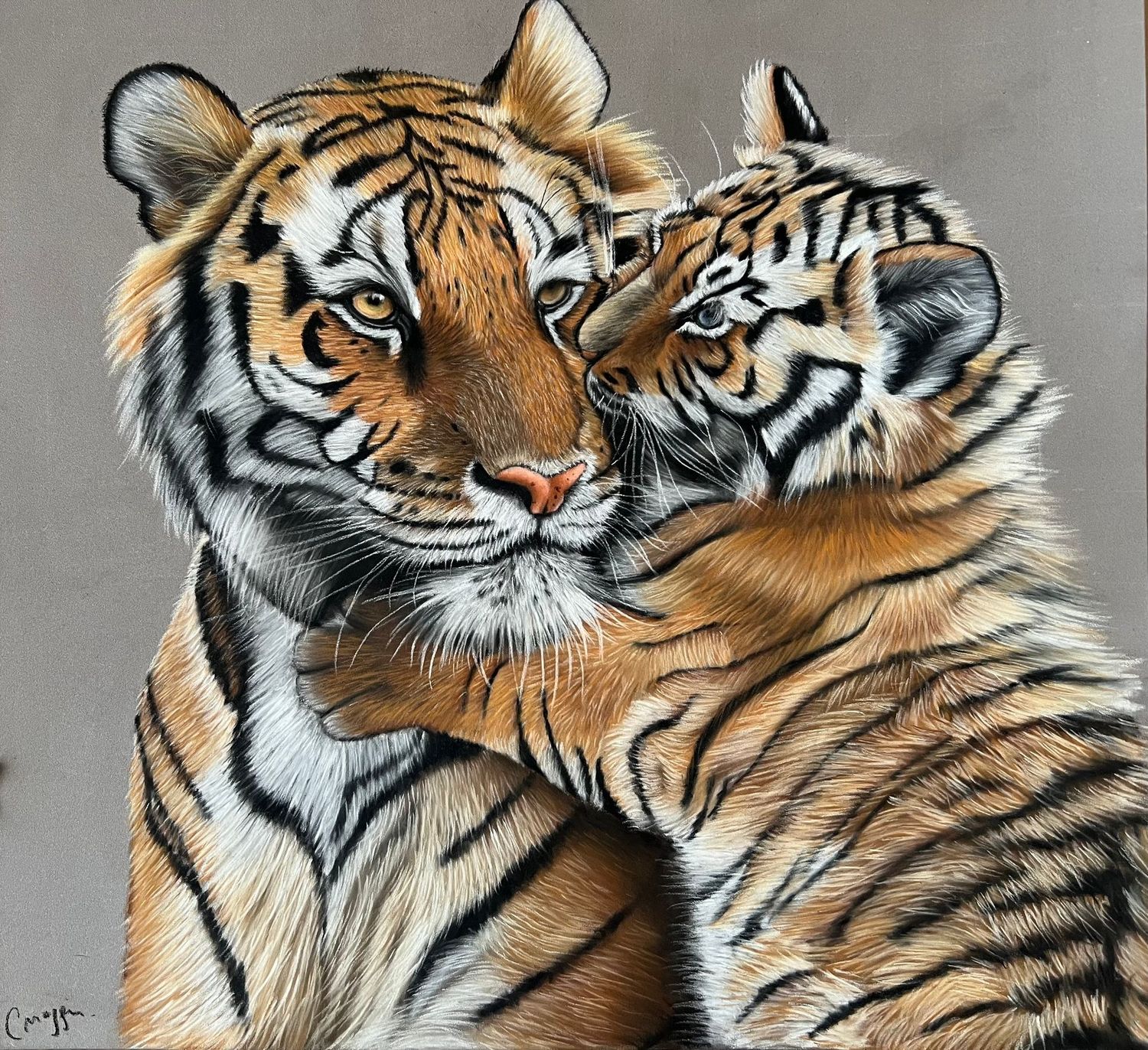 Dessiner une maman tigre et son bébé au pastel sec