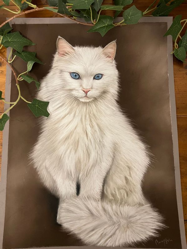 Apprendre à réaliser un chat blanc au pastel sec