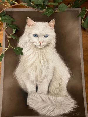 Apprendre à réaliser un chat blanc au pastel sec