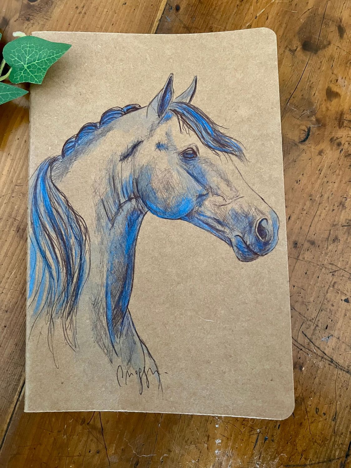 Carnet de notes Illustration cheval Carnet de notes Illustration cheval