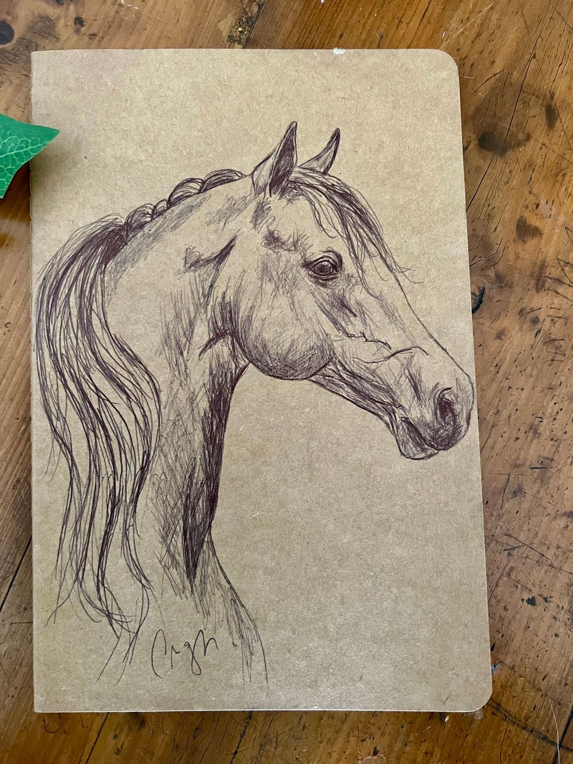 Carnet de notes Illustration cheval Carnet de notes Illustration cheval