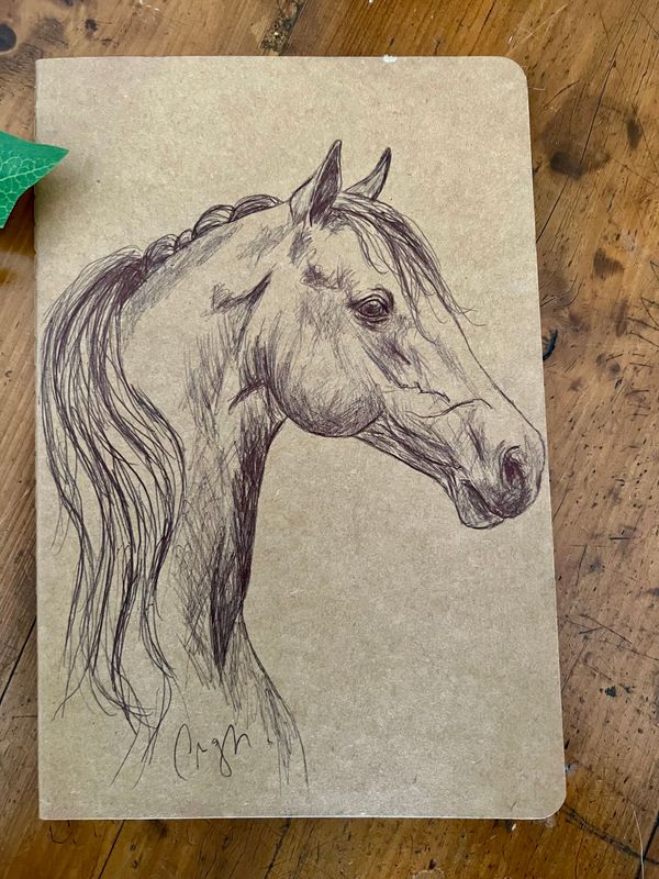 Carnet de notes Illustration cheval Carnet de notes Illustration cheval