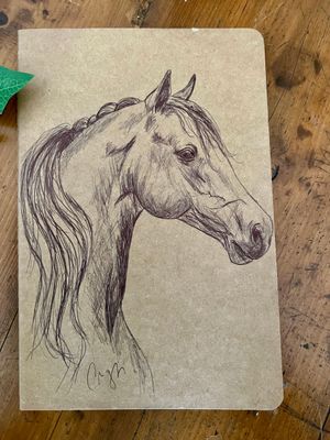 Carnet de notes Illustration cheval Carnet de notes Illustration cheval