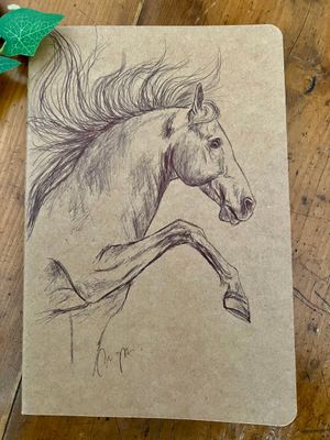 Carnet de notes Illustration cheval Carnet de notes Illustration cheval