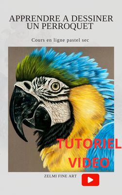 Apprendre à dessiner un Perroquet au pastel sec Apprendre à dessiner un Perroquet au pastel sec