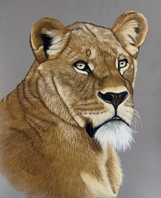 Dessiner une lionne au pastel sec