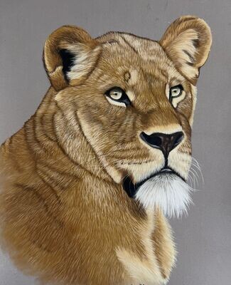 Dessiner une lionne au pastel sec