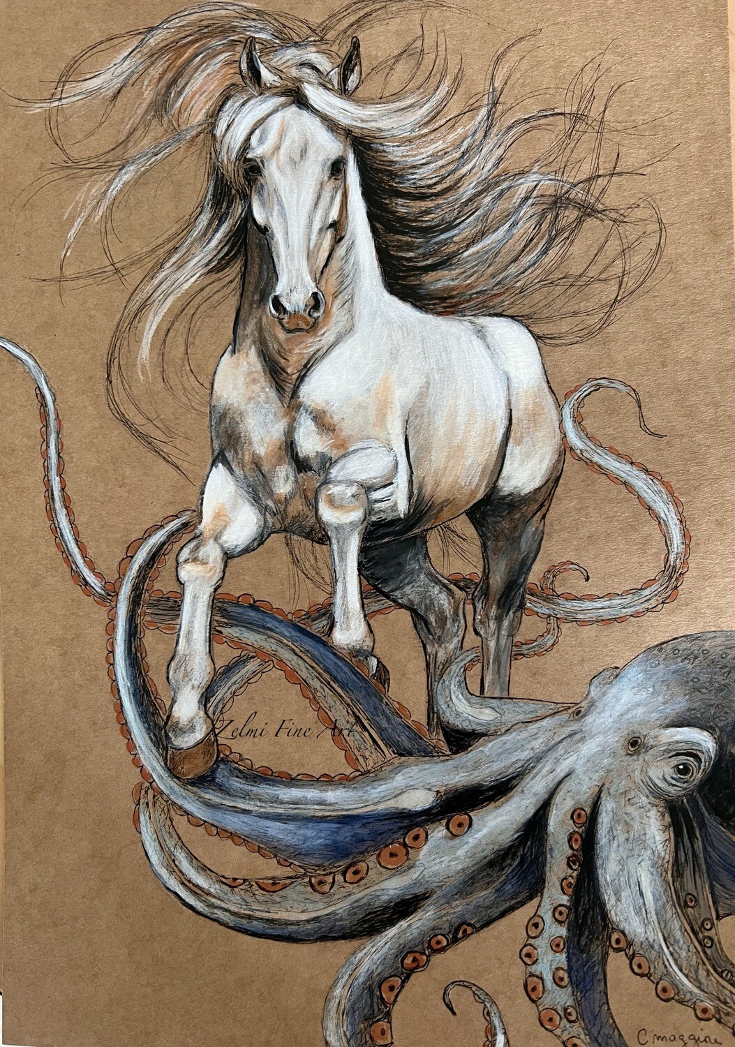 Octopus