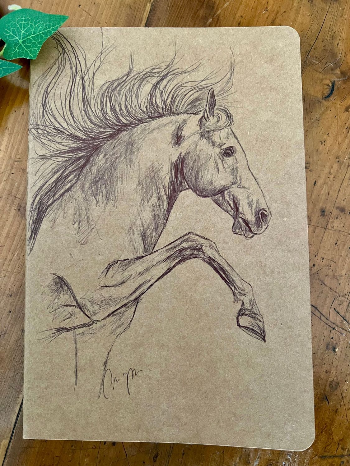 Carnet de notes  Illustration cheval