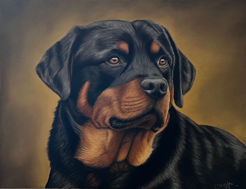 Réaliser un Rottweiler au pastel sec