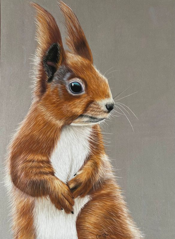 Réaliser un écureuil au pastel sec