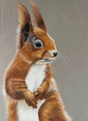 Réaliser un écureuil au pastel sec Réaliser un écureuil au pastel sec