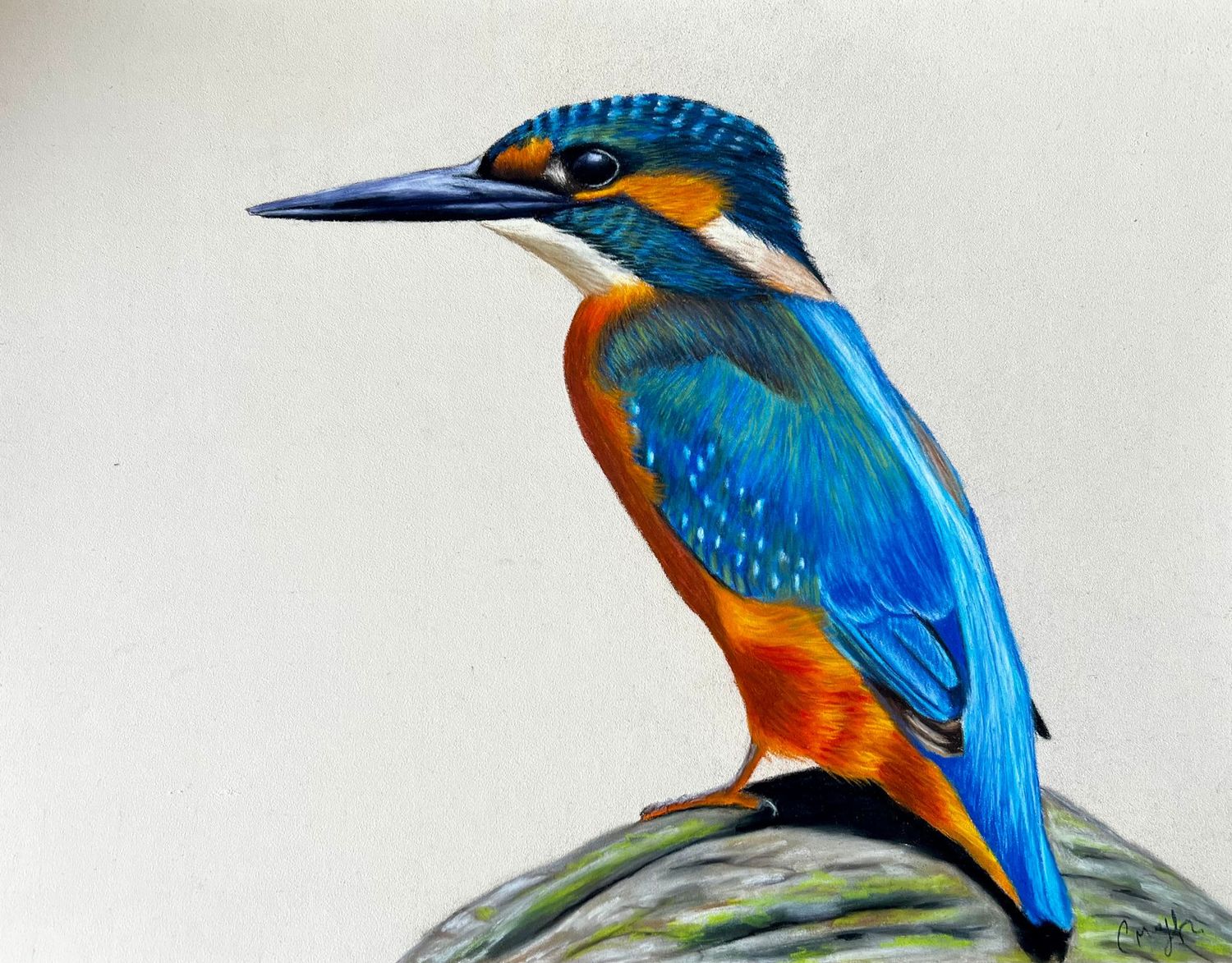 Réaliser un martin pêcheur au pastel sec Réaliser un martin pêcheur au pastel sec