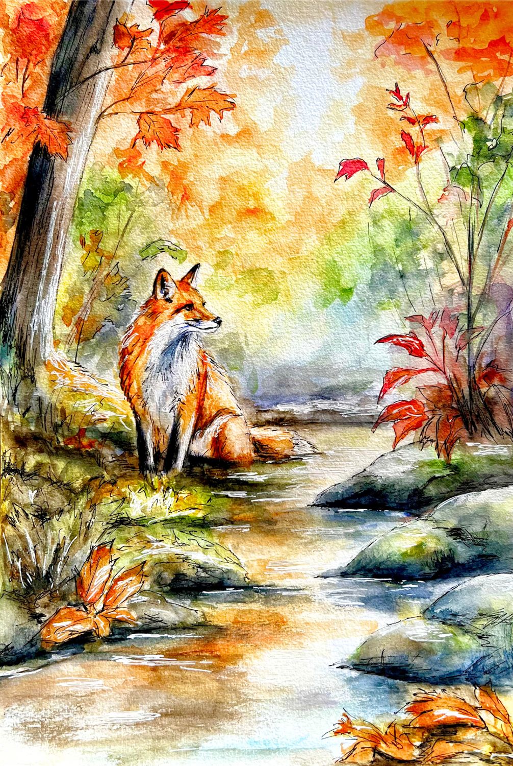 Petit renard au bord de l'eau Petit renard au bord de l'eau