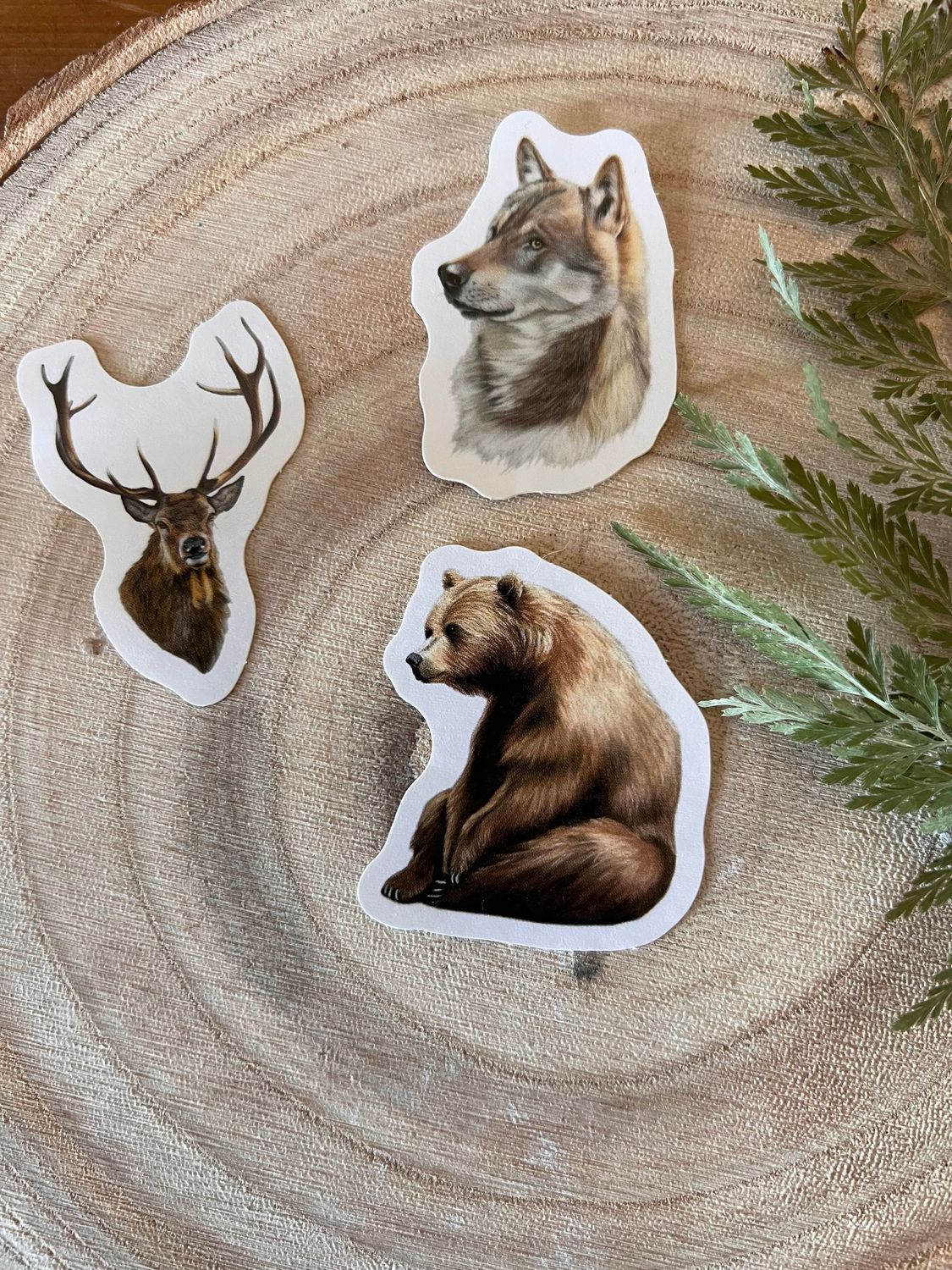 Pack trio de la forêt