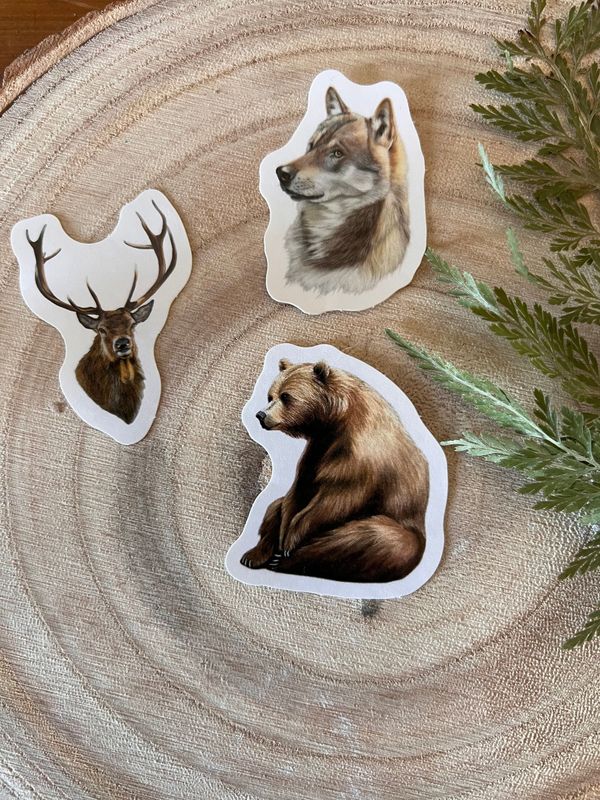 Pack trio de la forêt Pack trio de la forêt