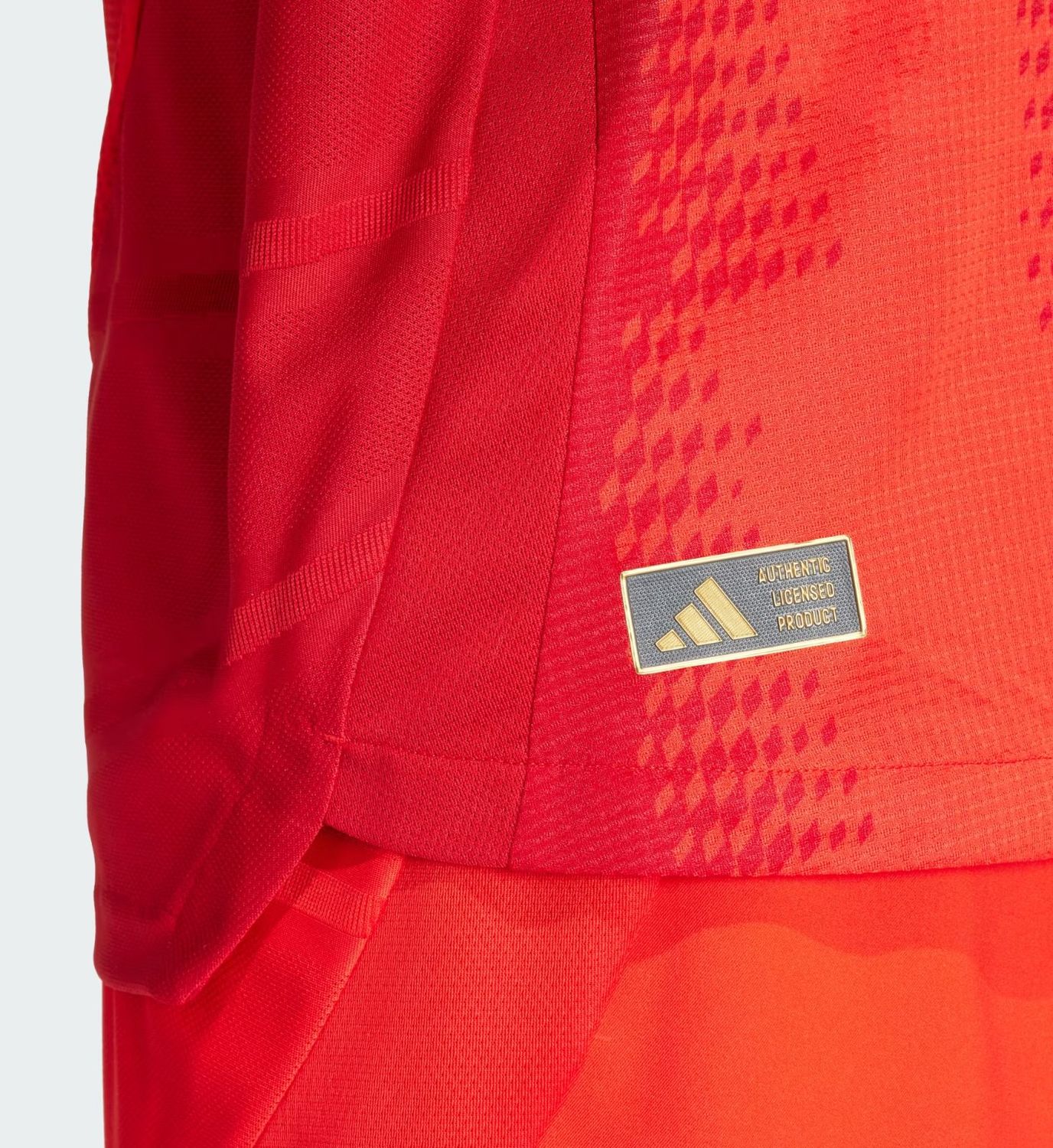 BAYERN MUNICH MAILLOT DOMICILE 2024/2025