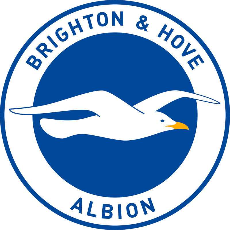BRIGTHON &amp; HOVE ALBION