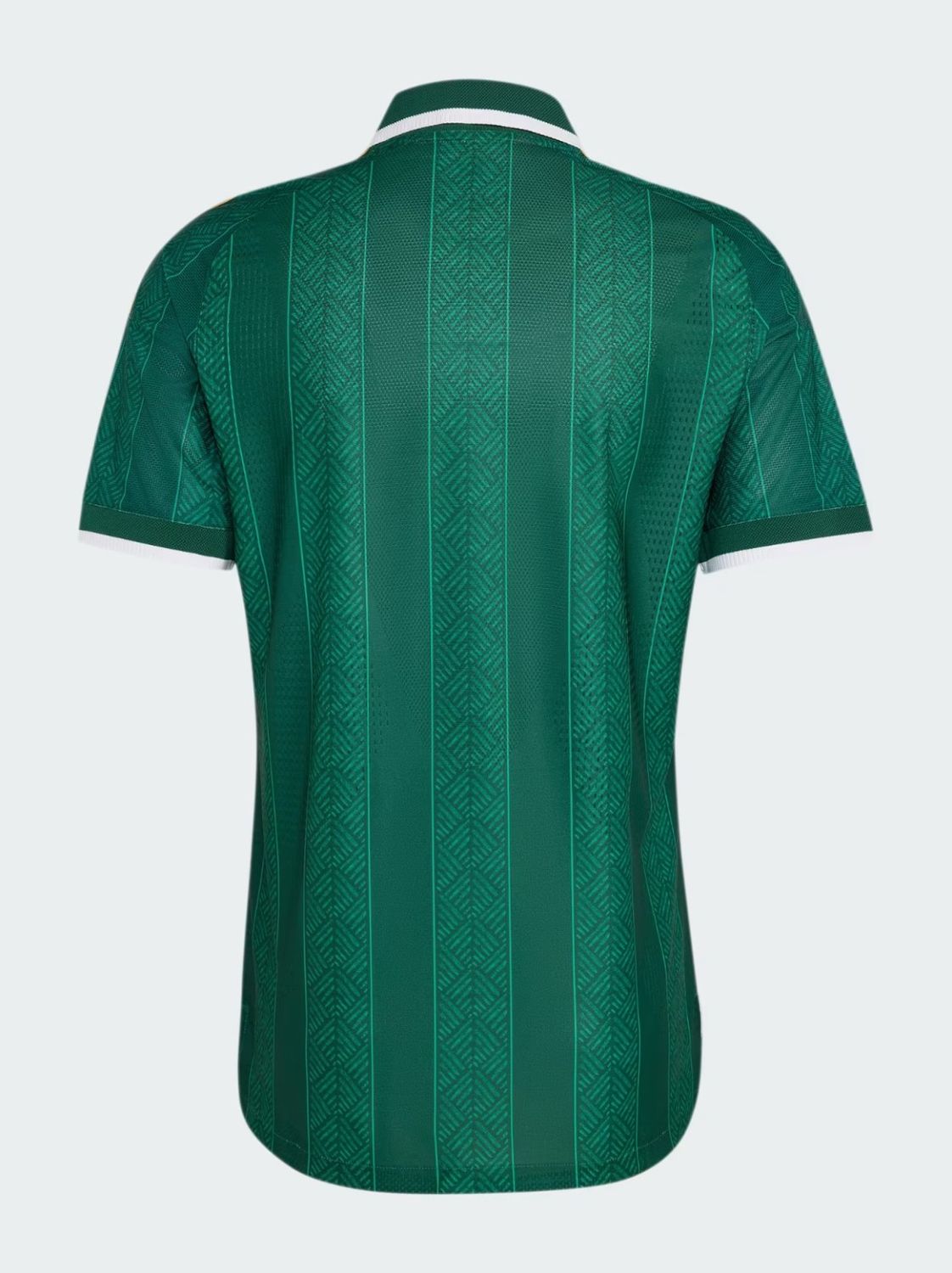 MAILLOT AFRIQUE DU SUD EXTERIEUR