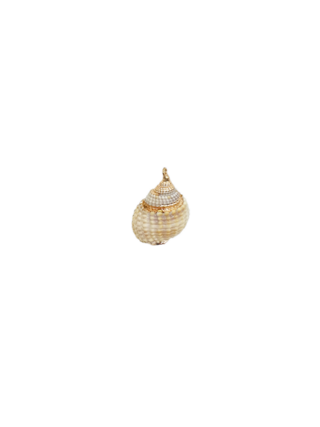 Anhänger MUSCHEL gold - Bunter Schmuck