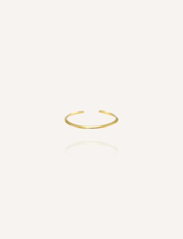 Zarter, goldener Edelstahlring in schlichter Eleganz. Perfekt zu kombinieren mit Buntem Schmuck