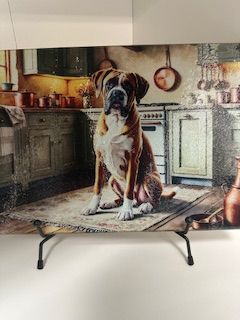 BB Glass CB Dog