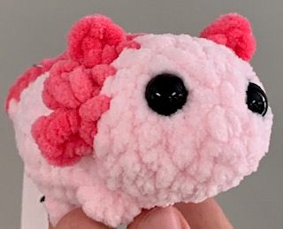 CD Axolotl - SM
