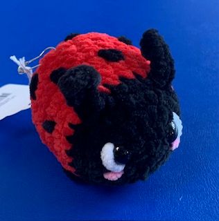CD Ladybug