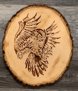 DD Owl