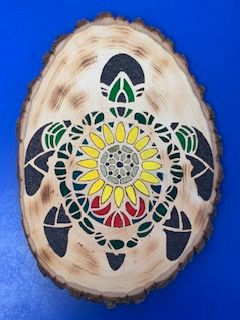 DD Turtle