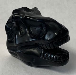 HC BL OBS DINOSAUR