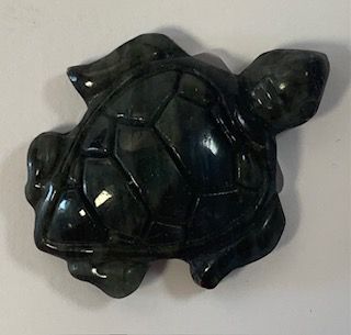 HC LAB TURTLE
