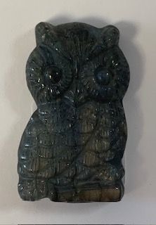 HC LAB OWL
