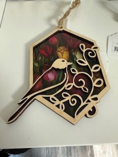 CCN Hummingbird SC