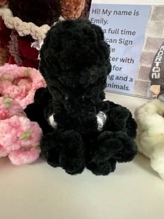 KC Mini Octo