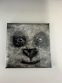 LRA Panda Magnet