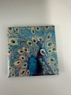 LRA Peacock Magnet