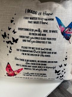 CCN Home Butterflies Pillow