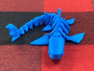 SD Shark