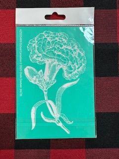 BS Carnation