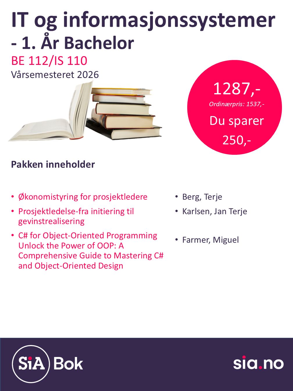 IT og Informasjonssystemer, Bachelor, 1 år (2 semester)