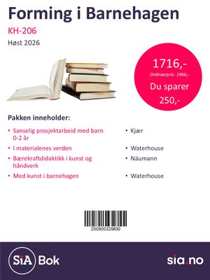 KH 206