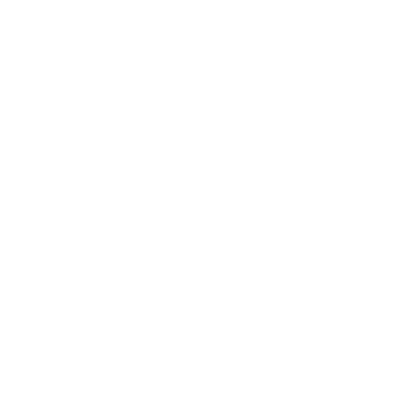 Online Store
