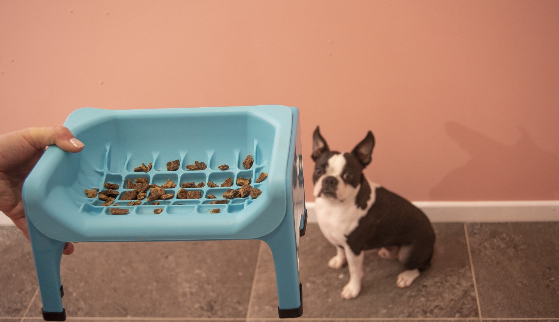 Fluff Trough Binge Blocker Set