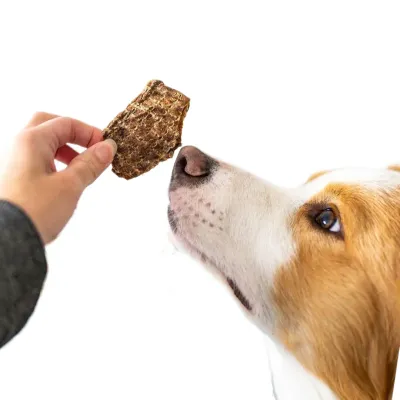 Treats