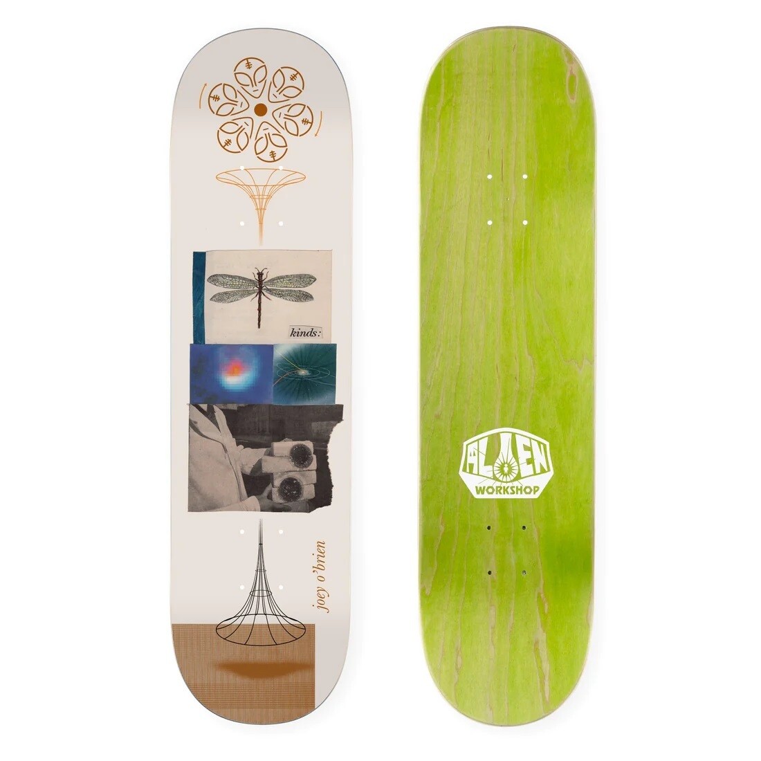 Joey O&#39;Brien Kinds White 8&quot;